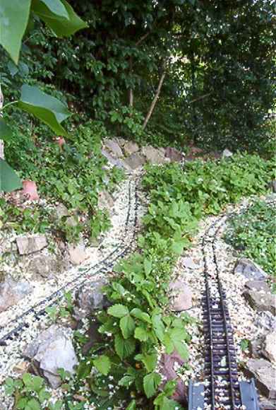 Ein Jahr sp&auml;ter